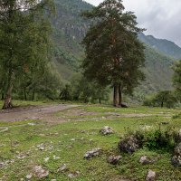 Республика Алтай :: Борис Гольдберг