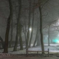 Ночной туман в придорожном сквере :: Константин Бобинский