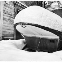 На приколе... :: Роман Наумов