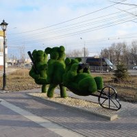 Ехали медведи на велосипеде, а один на тачке... :: Александр Стариков