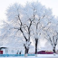 Волшебное утро. :: Восковых Анна Васильевна 