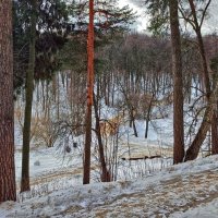 Царицыно зимой :: Наталья Лакомова