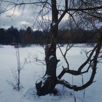 Воспоминания о не самой цветной части зимы :: Андрей Лукьянов