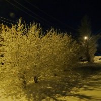 Морозной ночью :: Александр Подгорный