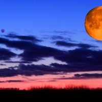Луна и Спика на рассвете :: Alisa Koteva 