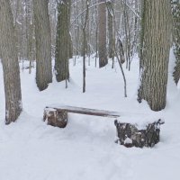 Скамеечка в лесу :: Raduzka (Надежда Веркина)