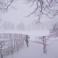 Снежный вечер . :: Татьяна 