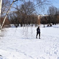 Лыжная прогулка :: Василий Палий