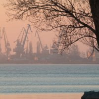 Порт в розовой дымке :: Константин Бобинский