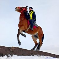 Коня на скаку остановит! :-) :: Андрей Заломленков (настоящий) 