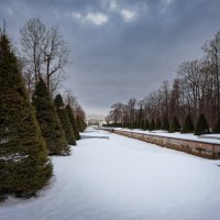 В зимнем парке... :: Сергей Кичигин