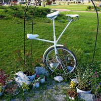 Семейный моноцикл :: Сеня Белгородский