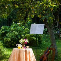 Натюрморт со скрипкой в саду :: Ольга Бекетова