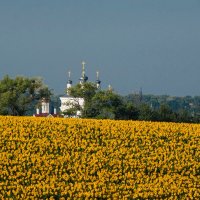 У ріднім краю :: Александр Крупский