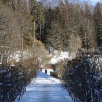 Висконтиев мост впереди !.. :: Юрий Куликов