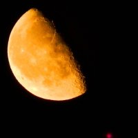 Луна - Антарес :: Alisa Koteva 