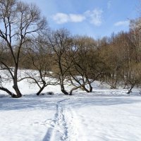 Край, в котором живу. :: Милешкин Владимир Алексеевич 