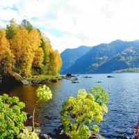 озеро Телецкое,осень :: михаил Архангел
