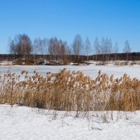 Весенняя Смоленщина. :: Милешкин Владимир Алексеевич 