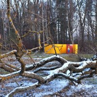 Загородняя прогулка на исходе зимы. :: Leonid Voropaev