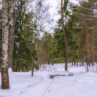 Тропинки в парке :: Сергей Цветков