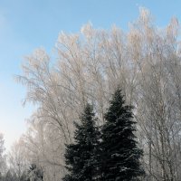 Зима :: Георгий Келарев