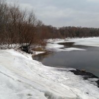 Река Ока. 15 марта :: Galina Solovova