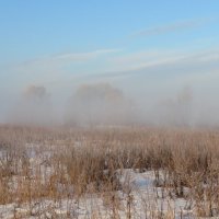 Весеннее туманное утро :: Андрей Снегерёв