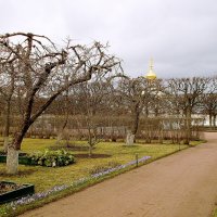 Весна в Верхнем саду. :: VasiLina *