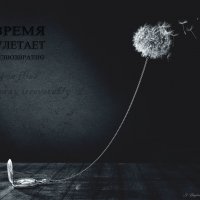 Улетающее время :: Сергей Бойцов