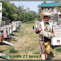 Апицентр биокоррекции здоровья "Здоровье на крыльях пчелы" :: михаил Архангел