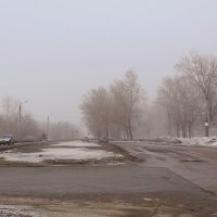 Туманное , весеннее утро. :: Мила Бовкун