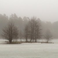 Туман над озером :: Андрей Снегерёв