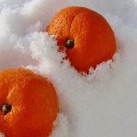 .. апельсины в снегу за окном.. :: galalog galalog