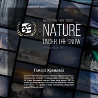 Природа под снегом :: tamara kremleva