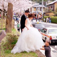 Цветение сакуры в Японии - сезон свадеб :: wea *