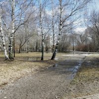 В апрельском парке :: Валерий Иванович