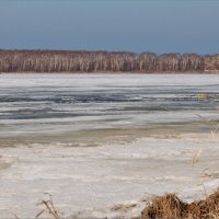 Весеннее пробуждение  на озере. :: Сергей Калиновский