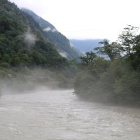 Туман на реке Бзыбь :: Ольга 