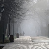 Утренний туман (3). :: Егор Бабанов
