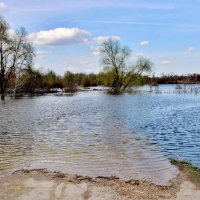 Скрылся мостик под водой. Разлив на Хопре. :: Восковых Анна Васильевна 