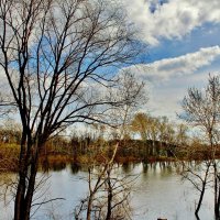 Высоко вода поднялась, стынут ножки у осинок. :: Восковых Анна Васильевна 