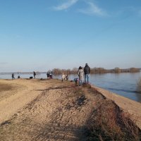 Апрельским днём на берегу реки :: Galina Solovova