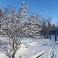 Свежий снег в апреле :: Галина Минчук