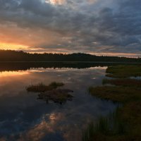 Болотное озеро Две Сестры :: Владимир Кузнецов