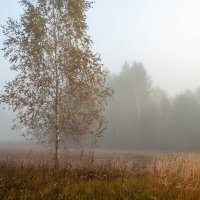 В августе.Вот вот взойдет солнце. :: Сергей Татаринов