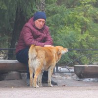 Человек собаке - друг... :: Tatiana Markova