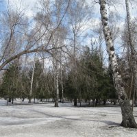 Весенний парк :: Андрей Макурин