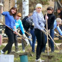 Возьмите мётла и лопаты в ручища, вместе сделаем город наш чище! :: Андрей Заломленков (настоящий) 