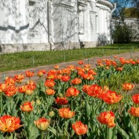 Весна :: Владимир Колесников